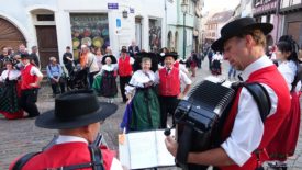 2018-10-07-Fête-des-vendanges-Barr-(7)